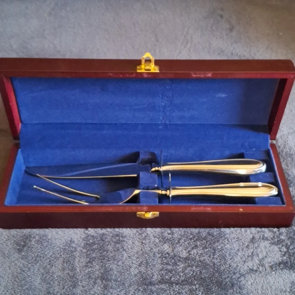 VTG Beautiful Hampton Silversmiths 2-piece Stainless Carving Set wooden box